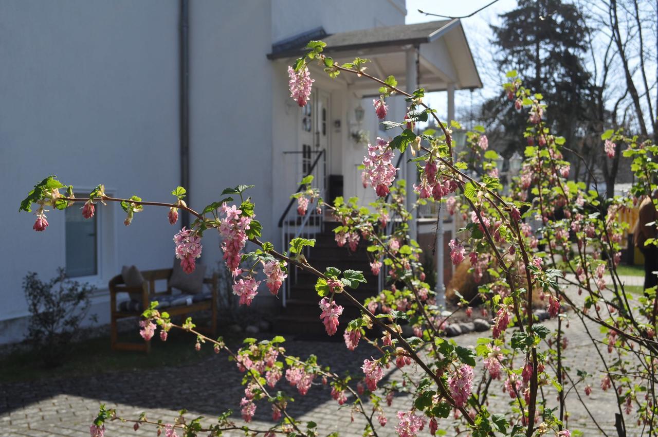 Pension Villa Frohsinn Sellin auf Rügen Exterior foto